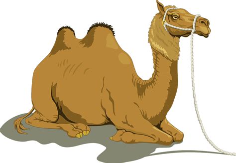 cartoon camel toe|Camel Toe Vector Images (35)